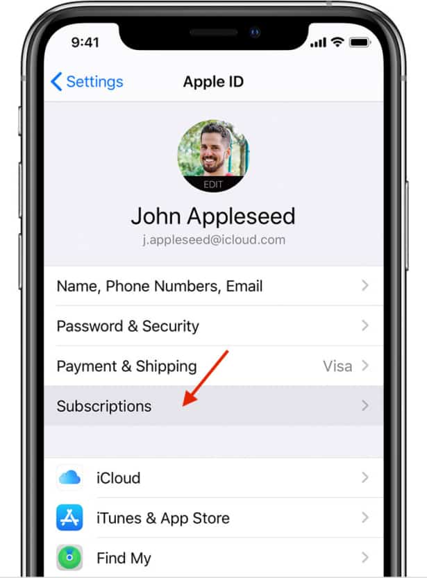 arrow pointing to "subscriptions"