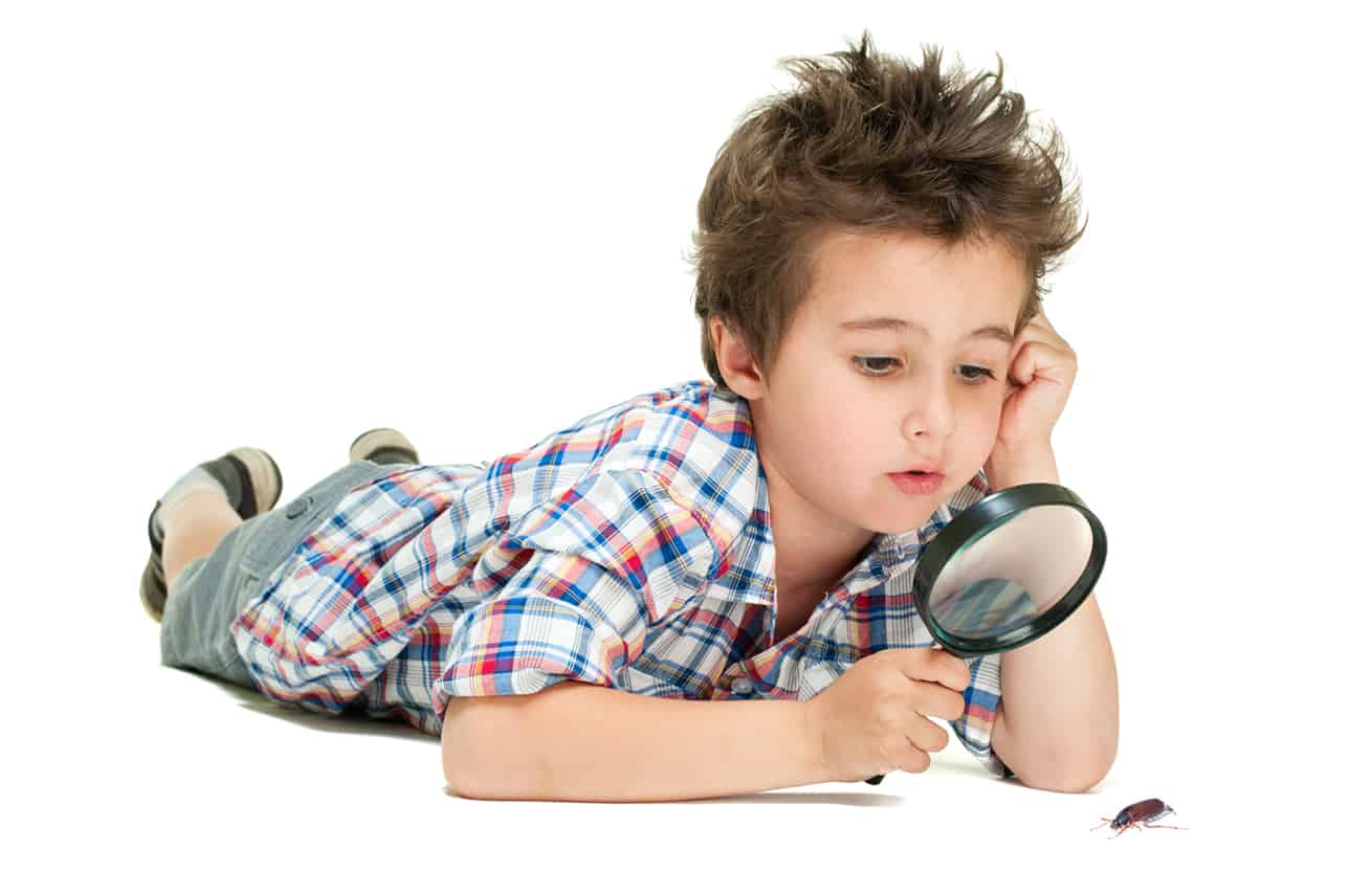Attentive little boy with weird hair researching the bug using magnifier isolated on white