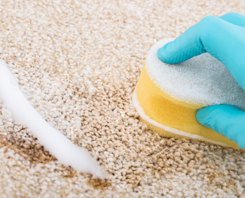 Close-up Of Person's Hand Cleaning Carpet With Sponge