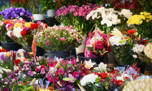 Flower market with various multicolored fresh flowers