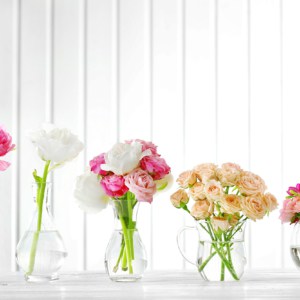 fresh cut flowers in glass vases