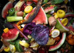 pile of rotten produce food waste in Amerian