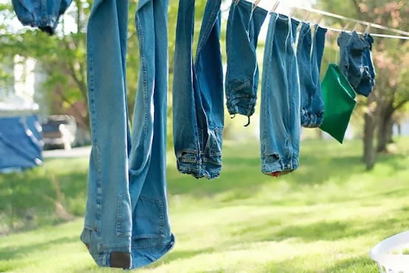 blue jeans hanging by their ankles from a clothesline in a wooded grassy area