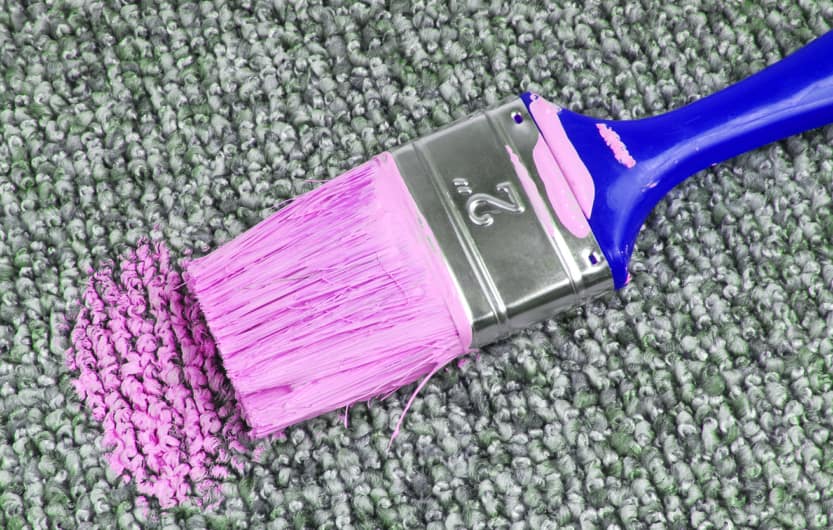 How to Remove Latex Paint Stains from Carpet • Everyday