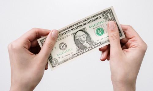 female hands holding a one-dollar bill