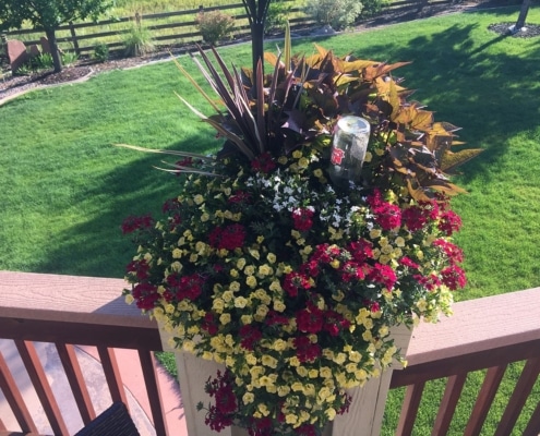 DIY plant nanny in a big beautiful flower planter