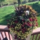 DIY plant nanny in a big beautiful flower planter