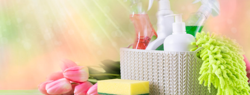 Spring cleaning concept - cleaning supplies and flowers on blur background