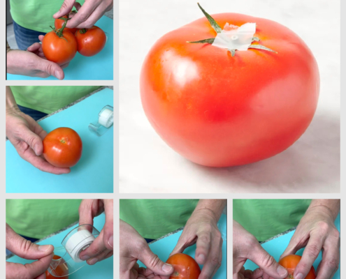 tomato storage method using tape